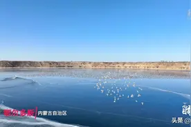 内蒙古鄂尔多斯：候鸟飞临萨拉乌苏大峡谷图片