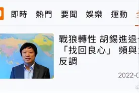 当胡锡进遭遇网络义勇军图片