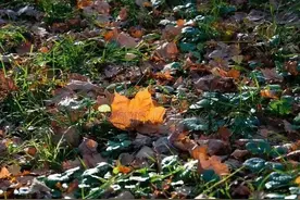 卡片萌娘大乱斗的人物收集攻略图片