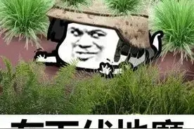 和平精英：队友太菜了怎么办？什么样的套路才能带她吃鸡？图片