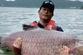 抖音上的十大钓鱼高手，最有名的邓刚的粉丝达到3248.9万图片