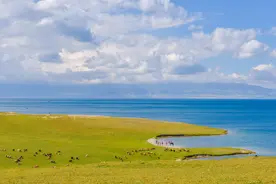 新疆赛里木湖，夏天水草丰美，绿意盎然的风景太美了图片