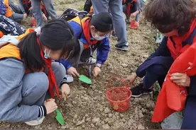做塌饼、摘青菜、磨豆浆……虹口区海南中学“跟着劳模去学农”图片
