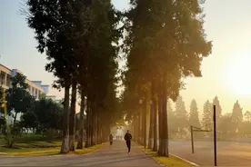 释放风水在你生活中的治疗潜力图片