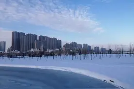 魅力无限的“圈”图片