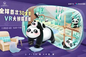 PICO联合中国大熊猫保护研究中心，全球首次呈现3D全景VR大熊猫直播图片
