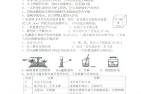 2023年安徽省合肥市第42中学九年级化学一模试卷图片