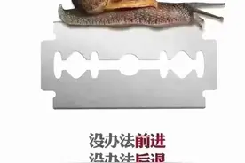 喜欢就好，不喜也好图片