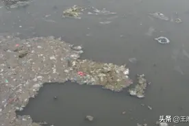 生活中常见的环境污染图片