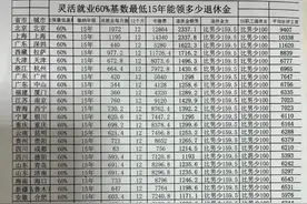 灵活就业人员社保缴费清单图片