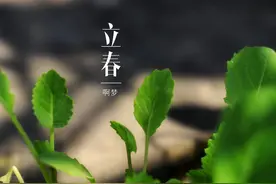 立春到，带“春”字的古诗词你知道多少图片