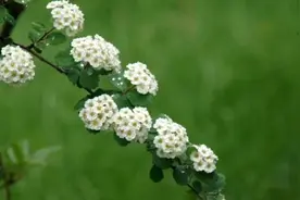 初中数学必考难点分析图片