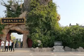 山西大槐树之旅图片