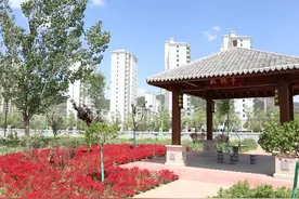 石竹正盛待相遇图片