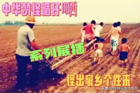 福建26大怪，清如茶香袅袅来图片
