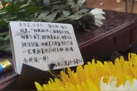 今天，这里满是鲜花……图片