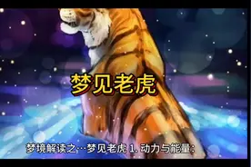梦境解读之梦见老虎图片