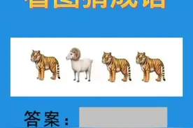 抖音直播看图猜成语图片