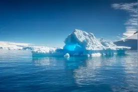 钻入南极冰下480米，发现成群结队的海洋生物，改变对生命的认知图片