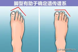 冷知识：这7个身体特征，能帮助我们知晓背后存在的有趣秘密图片