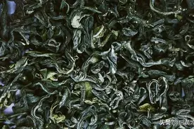 用土味方言介绍日照绿茶鉴别与选择干货版：外观篇图片