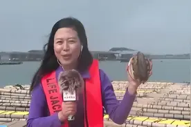 一斤重，巴掌大，鲍鱼里的“巨无霸”你见过吗？图片
