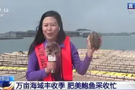 一斤重，巴掌大，鲍鱼里的“巨无霸”你见过吗？图片
