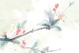 十句经典俗语，道尽生活智慧图片