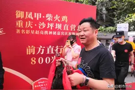 养鸡14年助288户农民致富“毛子”赵亮带着土鸡回渝致谢影迷图片