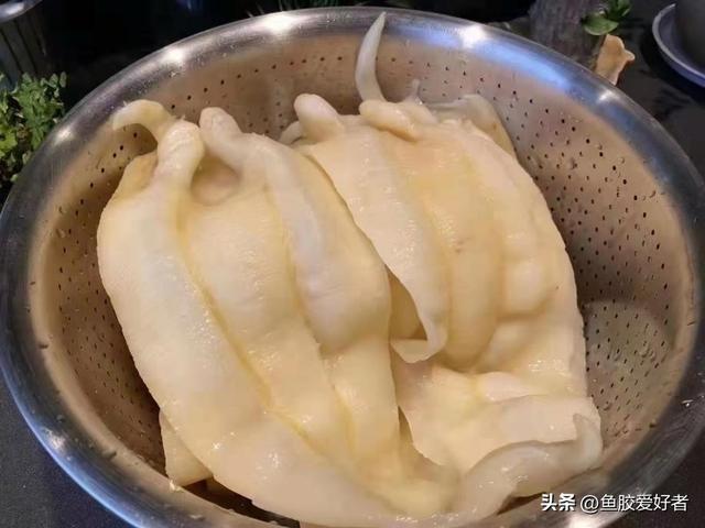 花胶蒸水多久 2026年花胶蒸水多久能吃