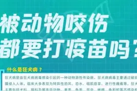 被动物咬伤都要打疫苗吗？听听长春市疾病预防控制中心专家怎么说图片
