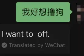 微信翻译，快把上海老外搞疯了图片