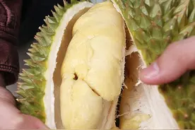 闻着臭吃着香的榴莲，对身体有哪些好处？爱吃的人不妨来看看图片