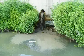 每日科技名词|水污染综合防治图片