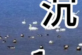 浙江杭州 男子被“沉猪笼”沉入湖底#社会热点图片