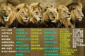 没有输，只有战死，这就是坏男孩联盟，再也见不到他们六兄弟了图片