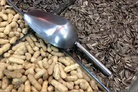 瓜子和花生，一个增肥，一个减肥，你真的吃对了吗？看完涨知识了图片