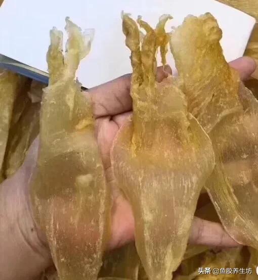 越南巴沙鱼胶好吗 2026年越南巴沙鱼的功效与作用