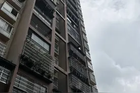 “喵星人”被困邻家高楼窗外呼救，消防员紧急救援图片