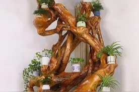 花架香樟 160*60*208 根雕花架花台盆景架置物架博古架屏风树根图片