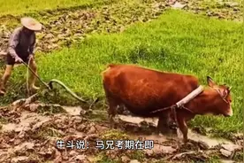 民间故事：牛头马面的传说图片