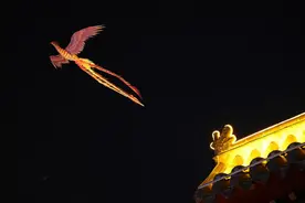 快看！沈阳有一只在夜空中遨游的金凤凰图片