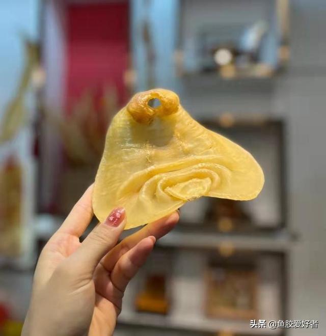 孕妇吃黄花胶好还是鳕鱼胶好 2026年鳕鱼胶和黄花胶哪个适合孕妇
