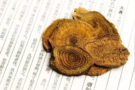 聊一味中成药单兵成将，入血清疏安五脏，汲水蓄力荡涤浊图片