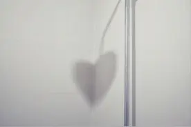 16张普通人拍出来的好照片：被一张卫生间拍出来的照片“惊喜”到图片
