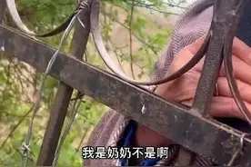 “保洁奶奶”隔栏杆给女生送吃的，一句话让无数网友泪崩图片