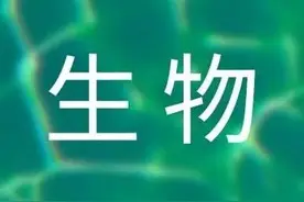 有趣生物实验，了解细胞分裂图片