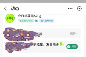 为什么我能每天坚持收能量图片