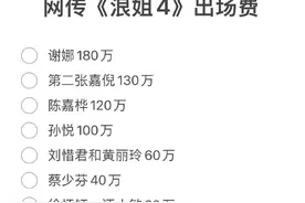 网传《浪姐4》出场费：谢娜高达180万排第一，徐怀钰只有30万垫底图片