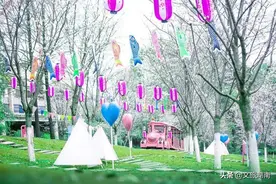 “女神”节将至！湖南各景区推出免票、特惠活动图片